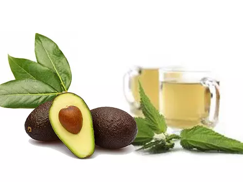 el-te-de-hojas-de-aguacate-para-que-sirve