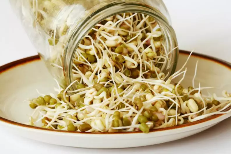 para-que-sirve-germen-soya