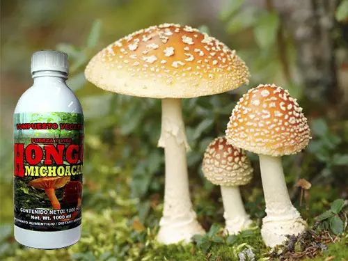 para-que-sirve-hongo-michoacano
