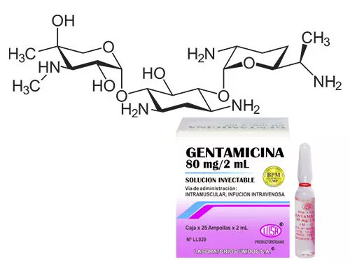 sirve-la-gentamicina