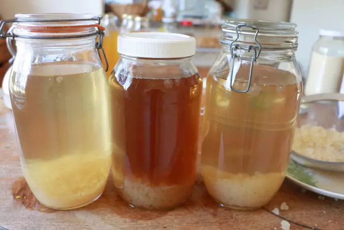 para-que-sirven-los-hongos-tibetanos