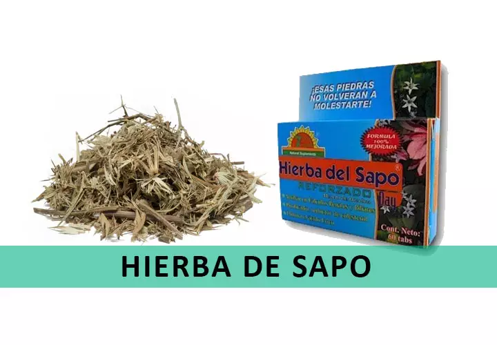 beneficios-hierba de sapo
