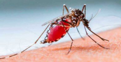 Síntomas del Dengue