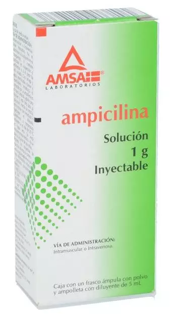 Ampicilina: ¿Qué es y para qué sirve?
