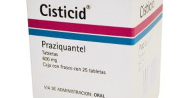Cisticid: Agente antiparasitario para toda la familia
