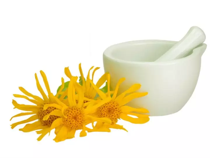 Árnica: ¿Qué es y para qué sirve?