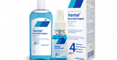 Vantal: ¿Qué es y para que sirve?