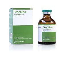 Procaína: ¿Qué es y para qué sirve?
