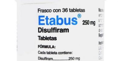 Etabus: ¿Qué es y para qué sirve?