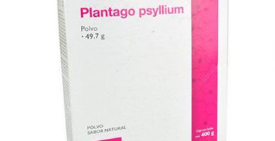 Psyllium: ¿Qué es y para qué sirve?
