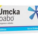 Umckaloabo: ¿Qué es y para qué sirve?