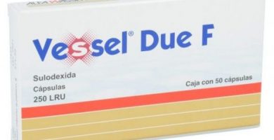 Vessel Due F: ¿Qué es y para qué sirve?