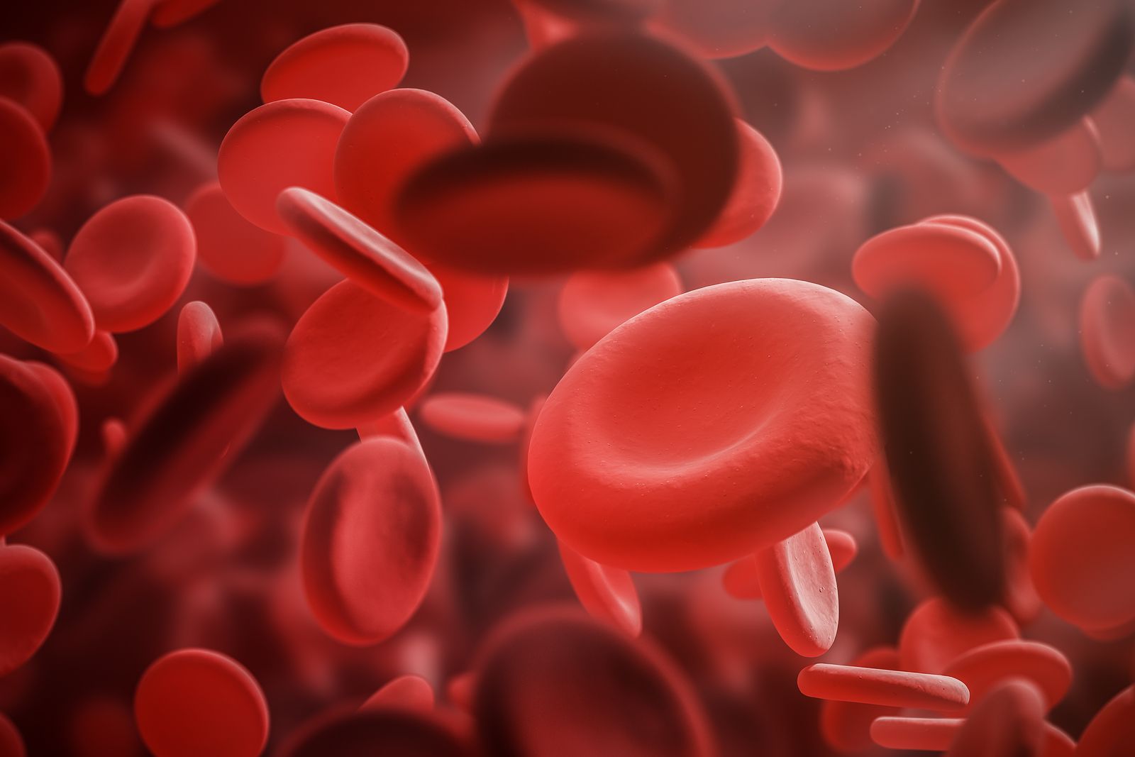 Bigstock Red Blood Cells Macro Over Red 254676895 Hemoglobina:¿Qué Es Y Cómo Medirla?