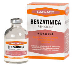 Penibenza Penicilina G Benzatínica: ¿Qué Es Y Para Qué Sirve?