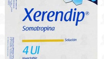 Xerendip: ¿Qué es y para qué sirve?