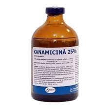 Kanamicina 1 Kanamicina: ¿Qué Es Y Para Qué Sirve?