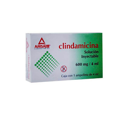 Clindamicina inyectable: ¿Qué es y para qué sirve?