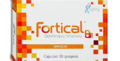 Fortical B: ¿Qué es y para que sirve?