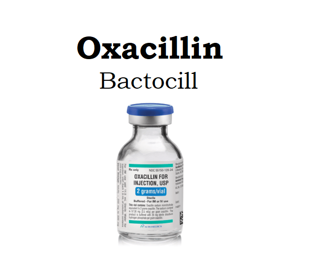 Oxacilina: ¿Qué es y para qué sirve?