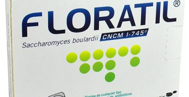 Saccharomyces boulardii: ¿Qué es y para qué sirve?