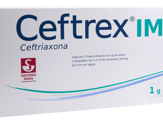 Ceftrex genérico: ¿Qué es y para qué sirve?