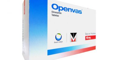 Openvas: ¿Qué es y para qué sirve?
