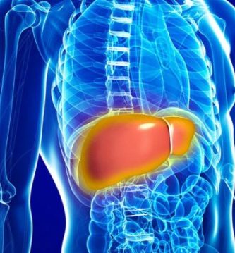 Hígado graso: ¿Qué es?