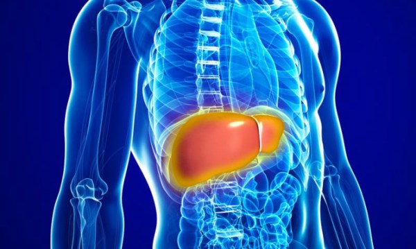Hígado graso: ¿Qué es?