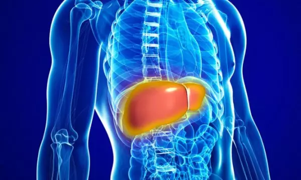 Hígado graso: ¿Qué es?