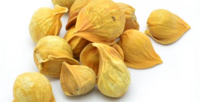 Fortalece tu cuerpo con ayuda del ajo japonés3