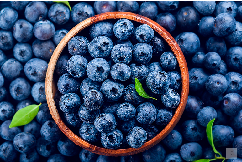 Blueberri ¡Blueberries Para Todos!