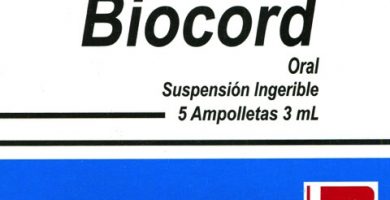 Biocord: ¿Qué es y para qué sirve?