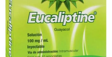 Eucaliptine: ¿Qué es y para qué sirve?