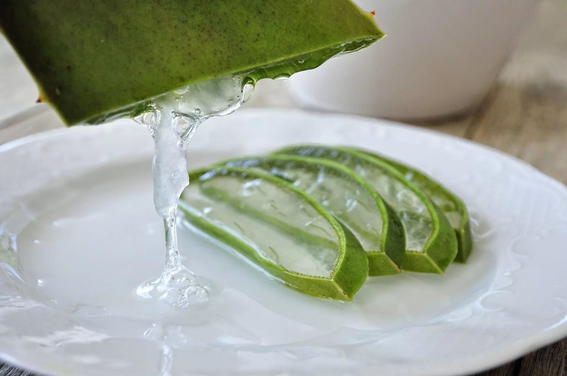 Aloe vera: &iquest;Qu&eacute; es y para qu&eacute; sirve?