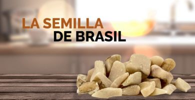 Semilla de Brasil: ¿Qué es y para qué sirve?
