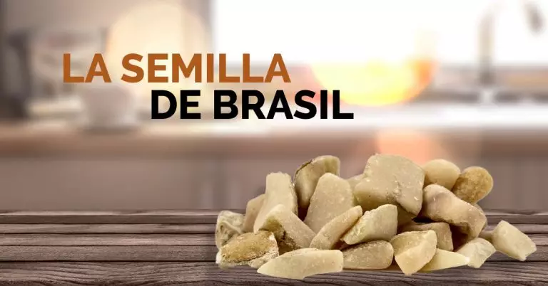 Semilla de Brasil: ¿Qué es y para qué sirve?