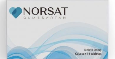Norsat: ¿Qué es y para qué sirve?