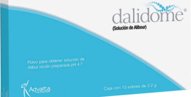 Dalidome: ¿Qué es y para qué sirve?
